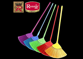 hourse-cleaning